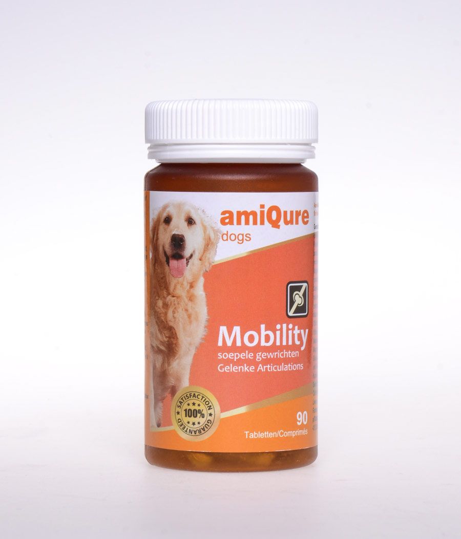 amiQure Hund Mobility EifelSan Online Shop